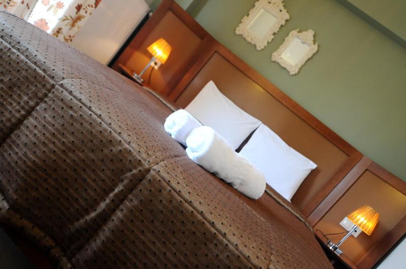 Double or Twin Room image 4