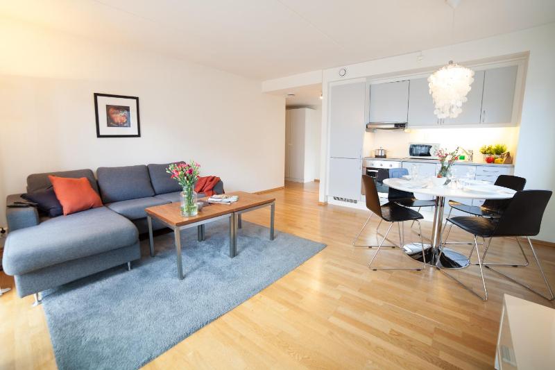 BJØRVIKA APARTMENTS Teaterplassen Oslo city center - image 7