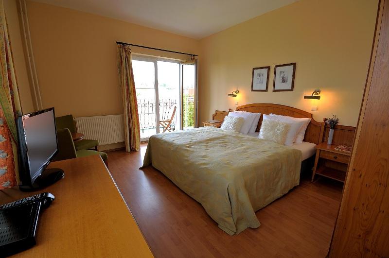Double Room with Spa Access image 2
