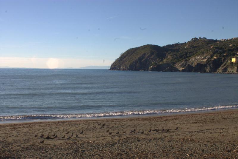 Affittacamere LevantoMare - image 6