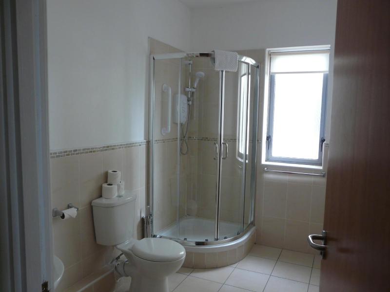 One-Bedroom Apartment image 3