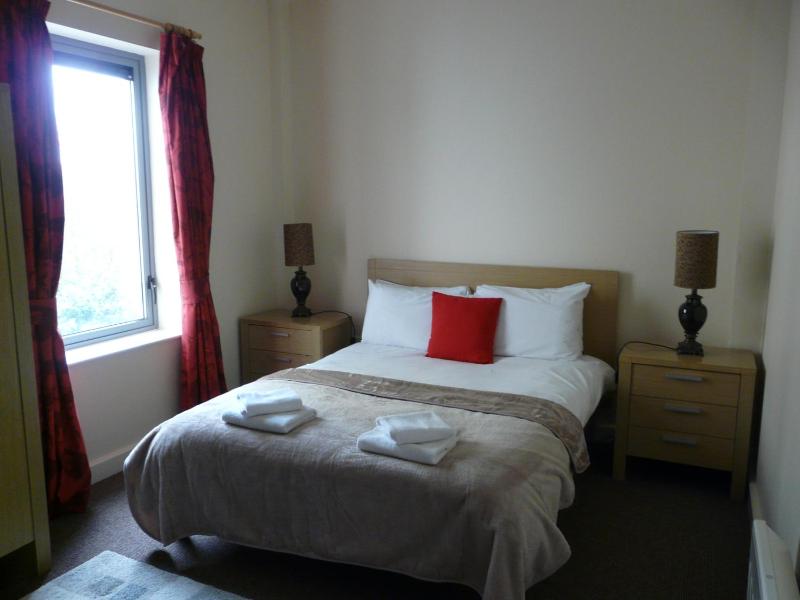 One-Bedroom Apartment image 4
