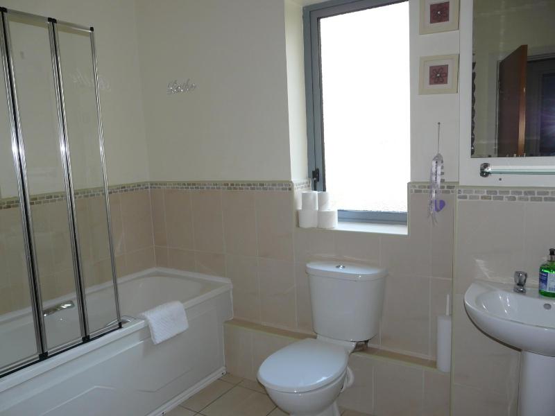 Deluxe Apartment image 3