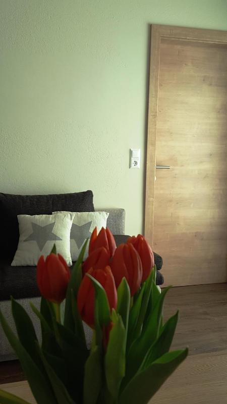 Apartment image 2
