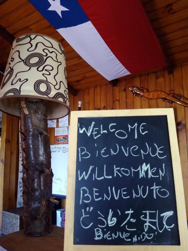 Gecko Hostel - image 48