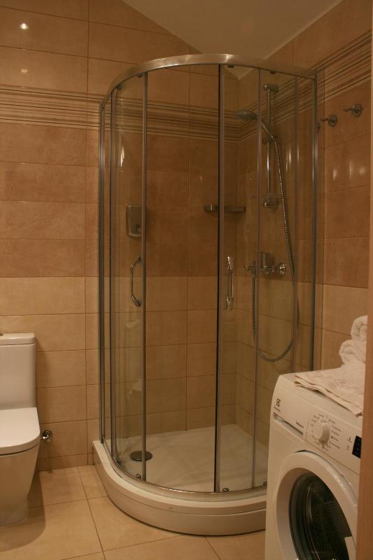 Three-Bedroom Apartment image 3