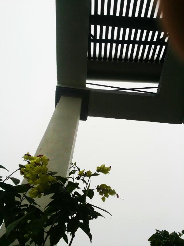 Homestay Moc Chau - image 7