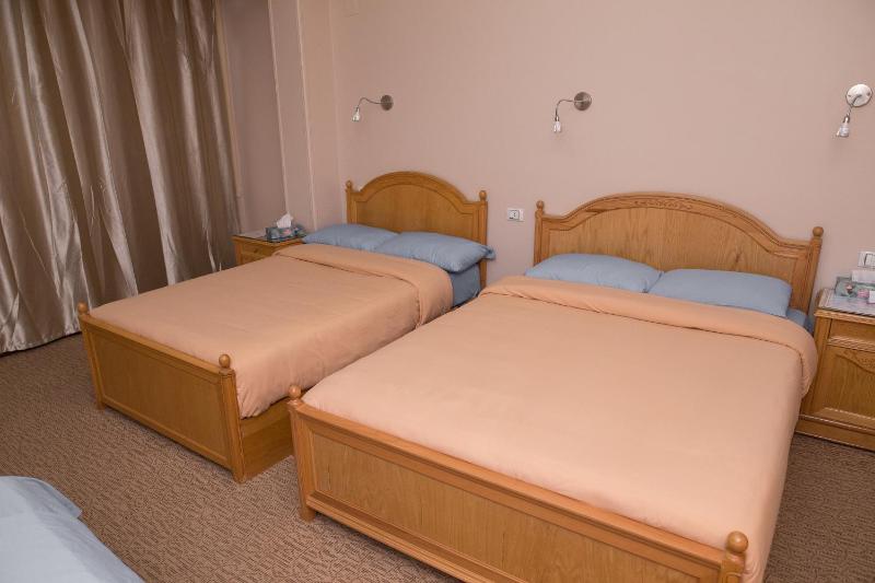 Double or Twin Room with City View image 2