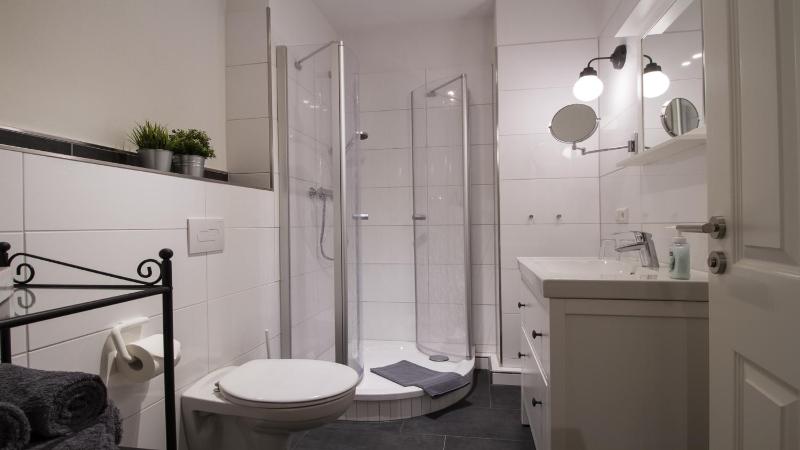 One-Bedroom Apartment image 3