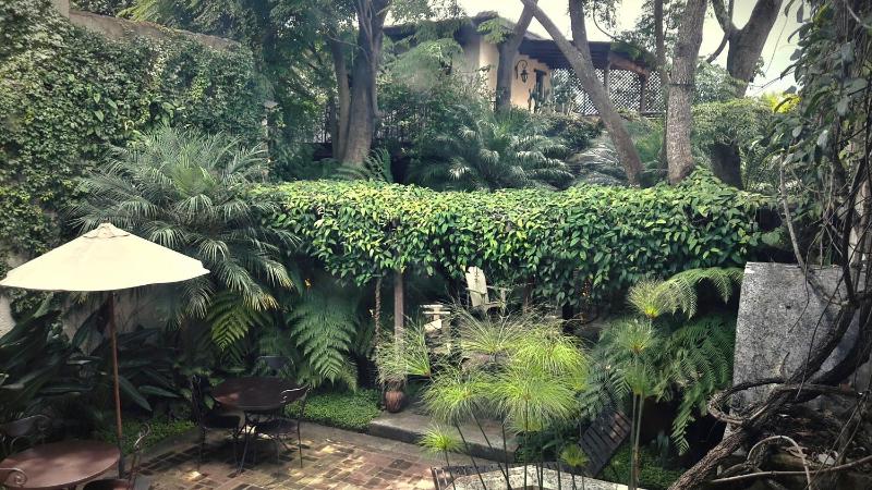 Cissus Hotel Boutique - image 8