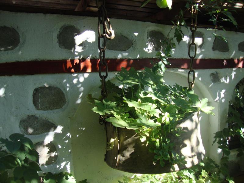 Guest House Planinski Zdravets - image 19