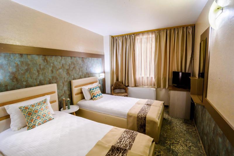 Deluxe Twin Room image 3
