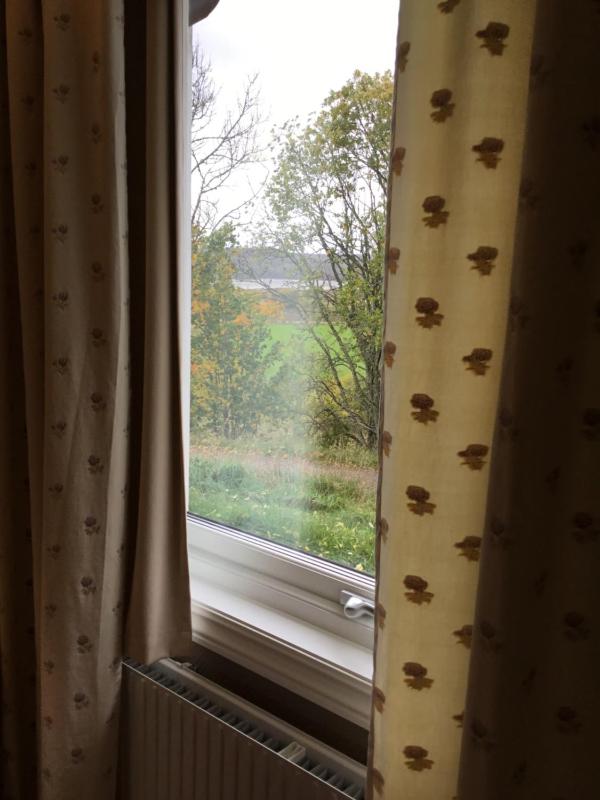 Deluxe Single Room image 4