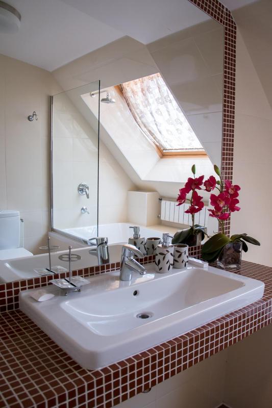 Spacious Studio Suite image 2