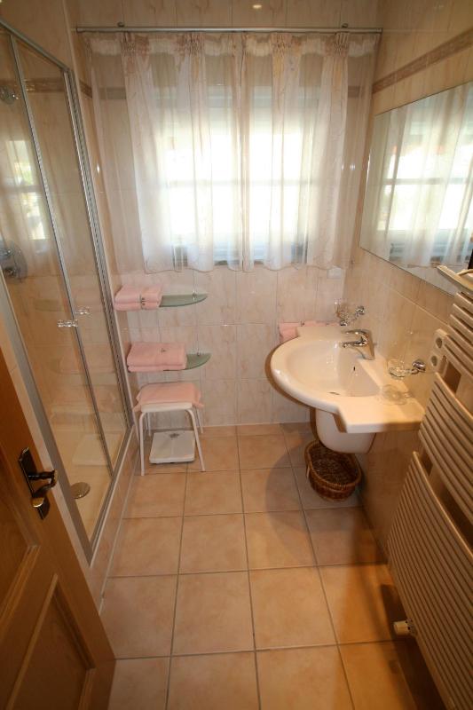 One-Bedroom Apartment with Balcony image 4