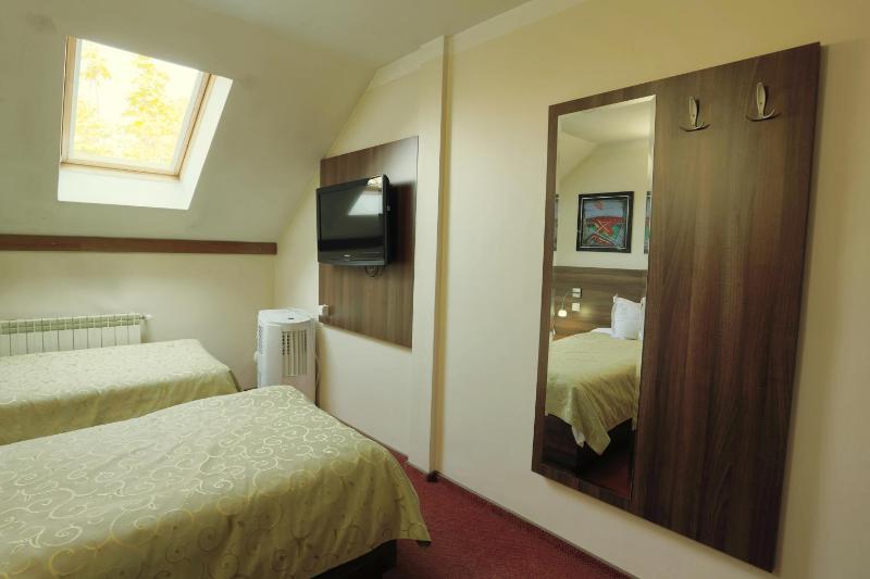 Twin Room image 2
