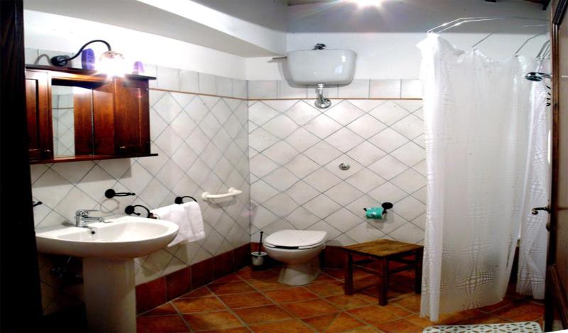 One-Bedroom Apartment image 2