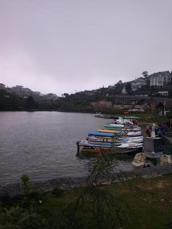 Lake Breeze - image 33