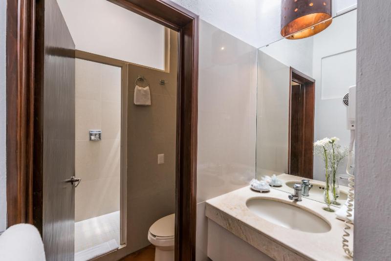 Hotel Casa Virreyes - image 3