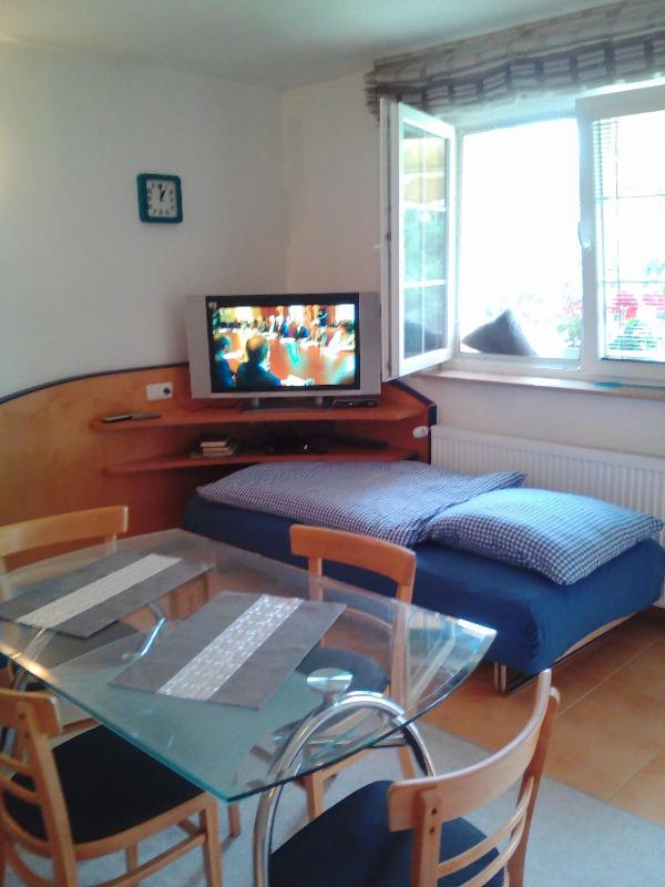 Apartment with Garden View image 3