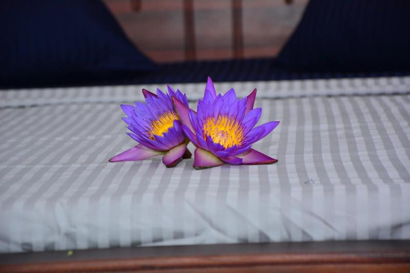 Hiru Villa Tangalle - image 35