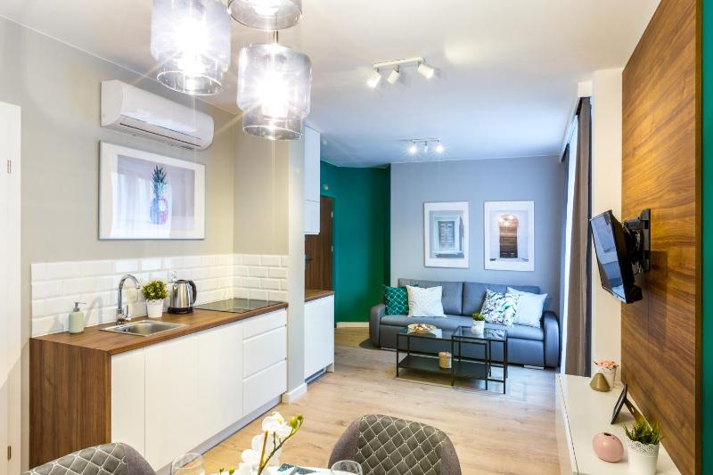 One-Bedroom Premium Apartment image 1