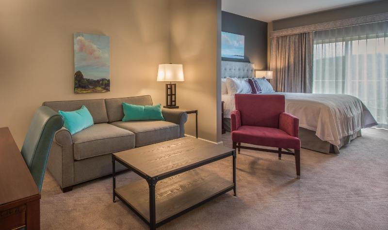 Deluxe King Suite image 2