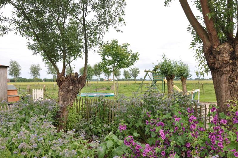 B&B Knotwilgenhoeve - image 10