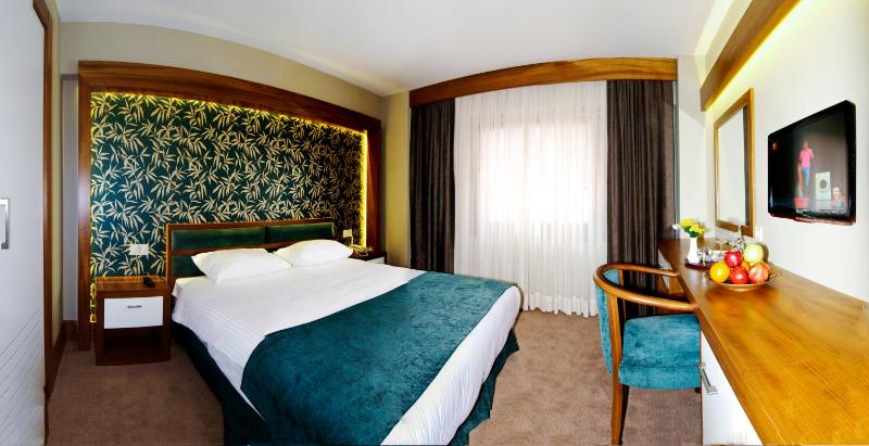 Double or Twin Room image 4