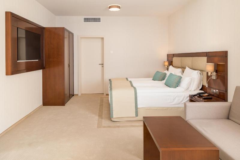 Grand Deluxe Room image 4