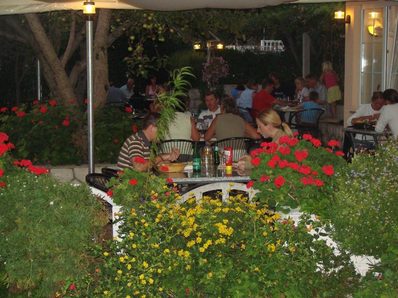 Pansion Dragica - image 25
