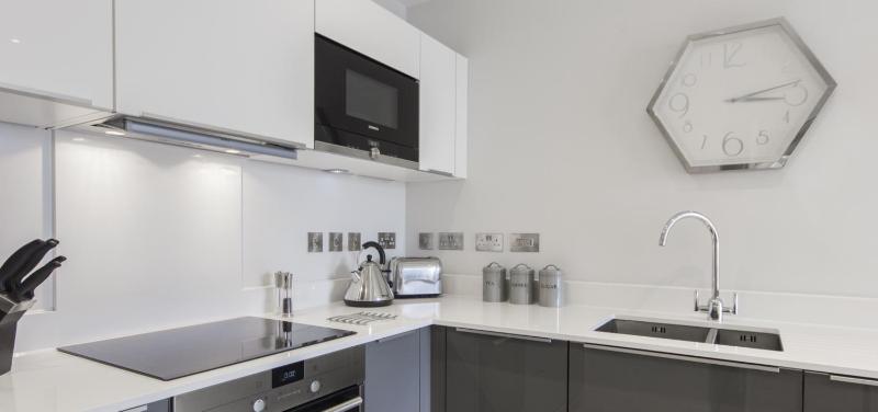 One-Bedroom Apartment image 4