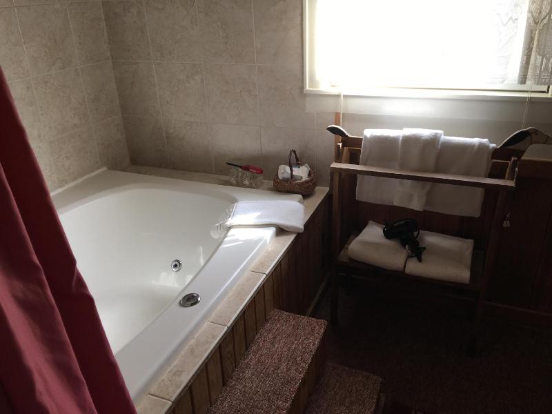 Deluxe Suite image 3