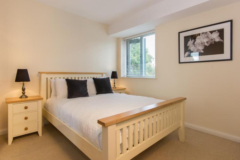 One-Bedroom Apartment image 2