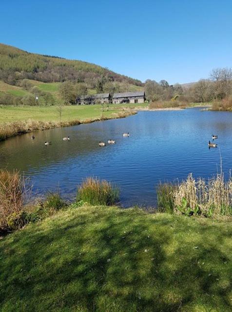 Kingfisher cottage image 4