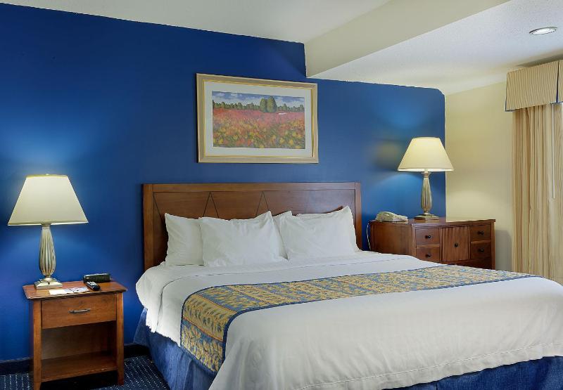 Studio Queen Suite with Sofa Bed image 3