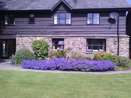 Kingfisher cottage image 3