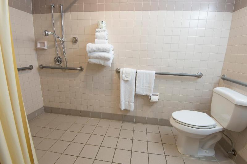 King Room - Disability Access image 4