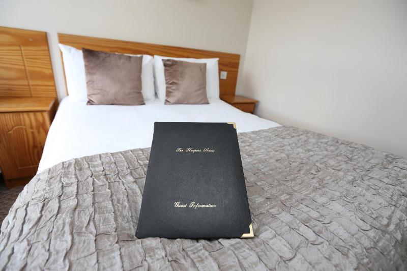 Deluxe King Room image 2