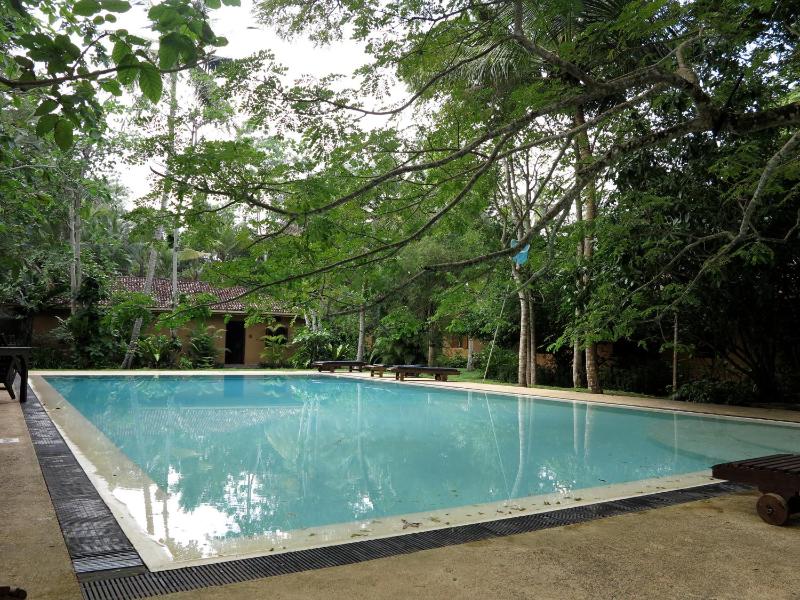 Bungalow Sud - image 13