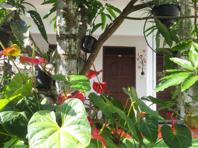 Jungle Holiday Home - image 16