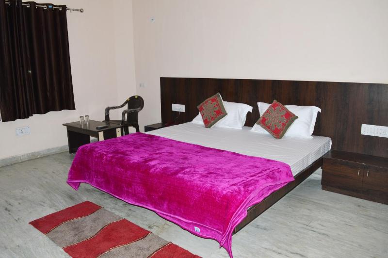 Laxmi Mahal - image 7