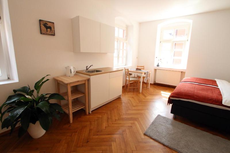 Studio Apartment with Kingsize Bed (annex) 1.OG image 3