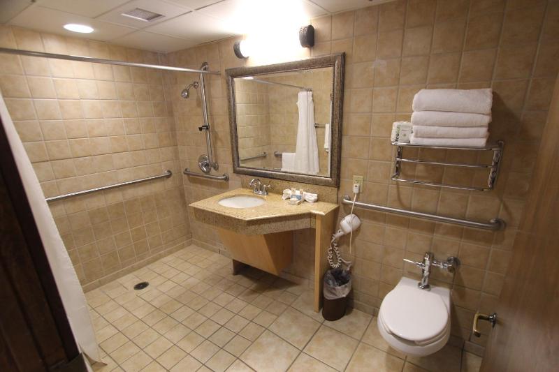King Room - Disability Access image 4