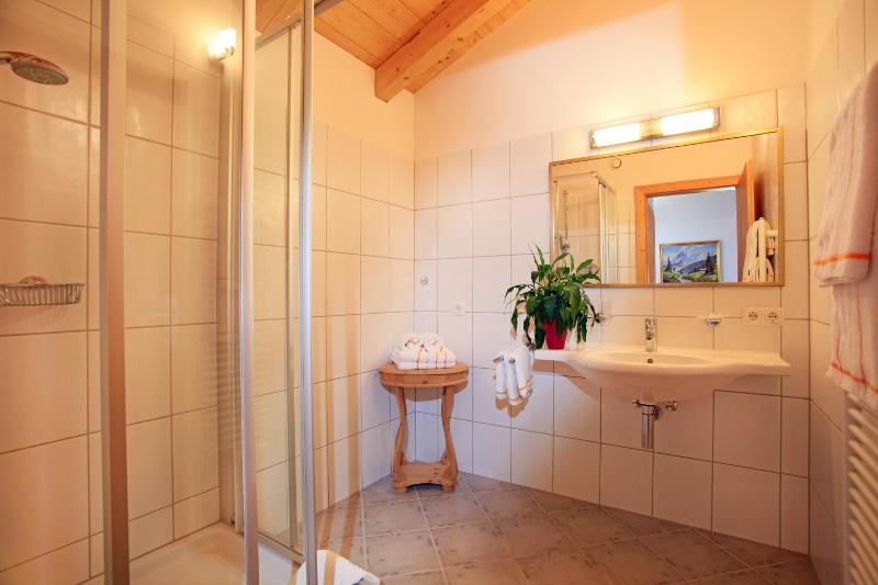 One-Bedroom Apartment image 2