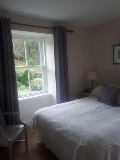 Standard Double Room image 1