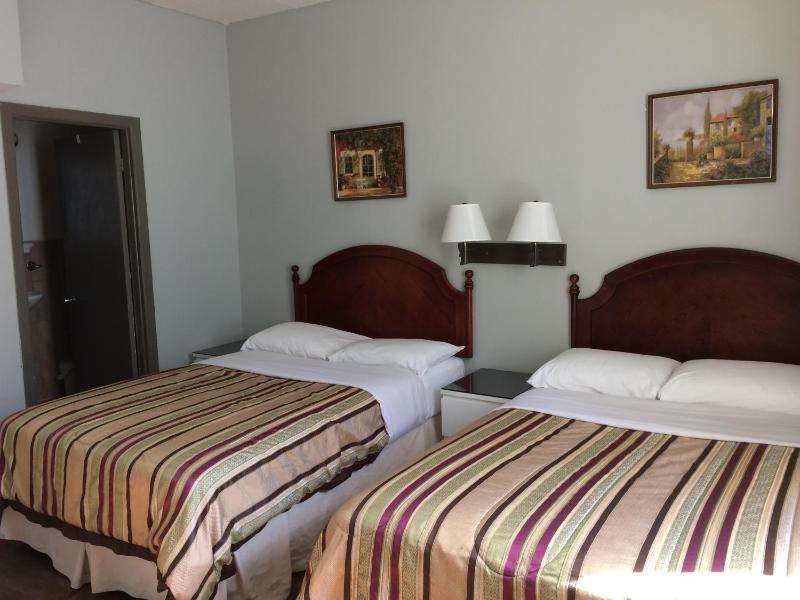 Hotel Bon Accueil - image 14