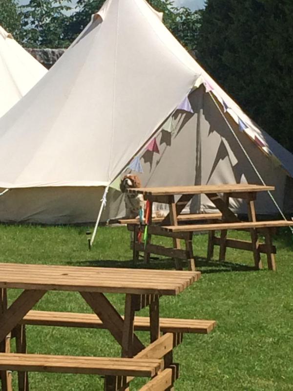 Bell Tent (1) image 3