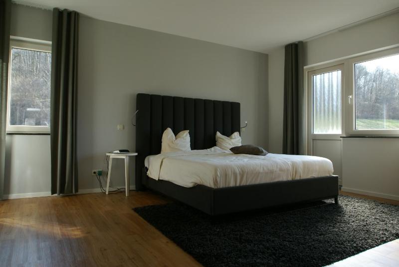 Deluxe King Suite image 1