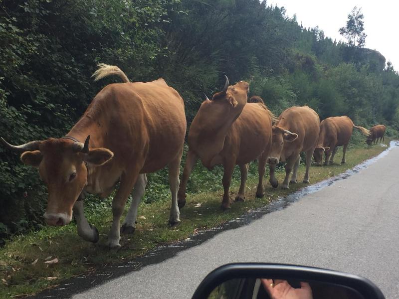 Three-Bedroom Townhouse image 1